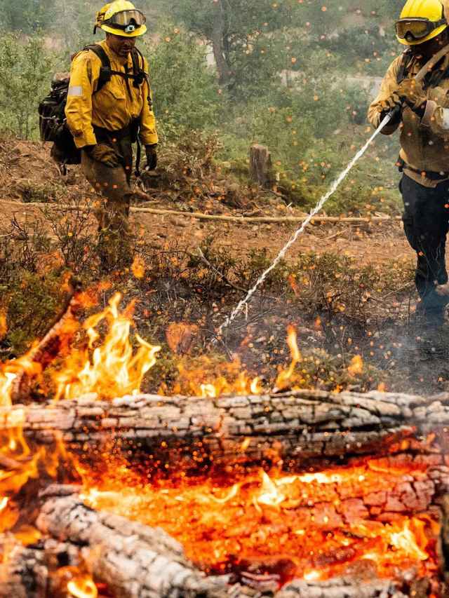 Texas Wildfires Spark Disaster Declaration